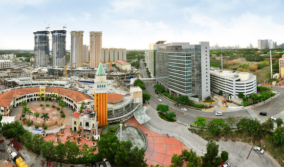 mckinley hill